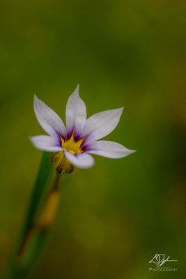05062023001-WEB.jpg