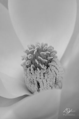 05072023001-WEB.jpg