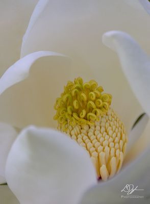 05112023001-WEB.jpg