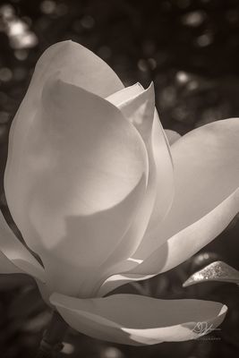 05162023001-WEB.jpg
