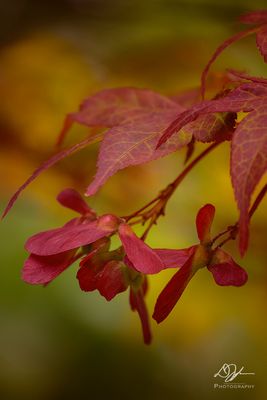 05212023001-WEB.jpg