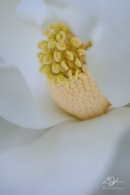 05302023001-WEB.jpg