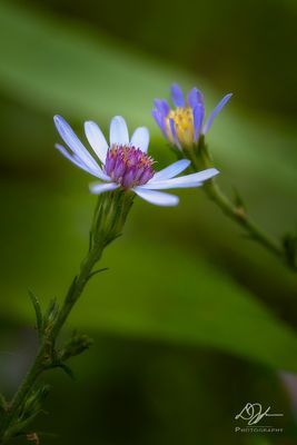 05312023001-WEB.jpg