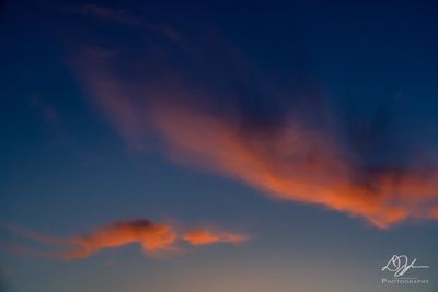 06012023001-WEB.jpg