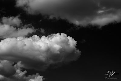 g13/70/1195770/3/173721678.b7ab8f98.JPEG