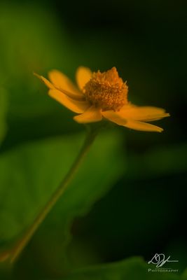 06252023001-WEB.jpg