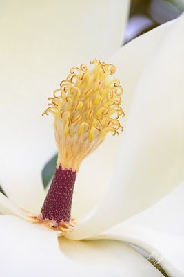 06302023001-WEB.jpg