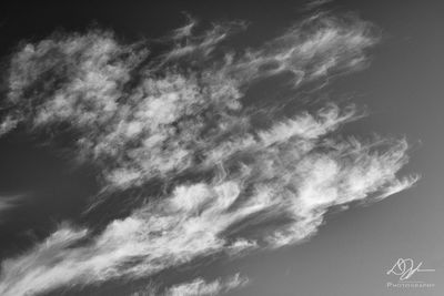 07022023001-WEB.jpg