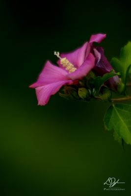 07042023001-WEB.jpg