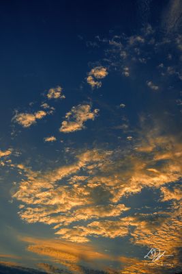 07052023001-WEB.jpg