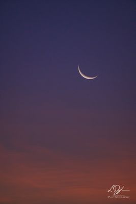 07142023001-WEB.jpg