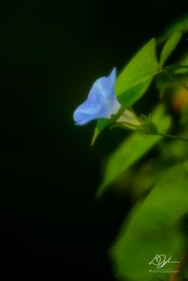 g13/70/1195770/3/173855872.45815f74.JPEG