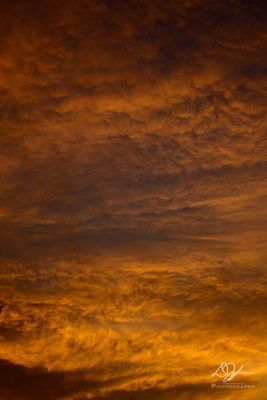 07312023001-WEB.jpg