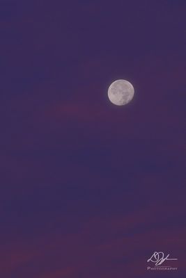 08032023001-WEB.jpg