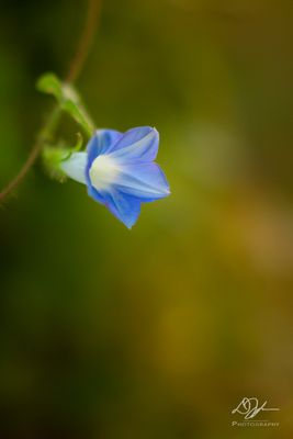 08042023001-WEB.jpg