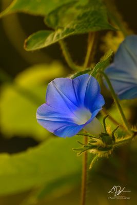 08052023001-WEB.jpg