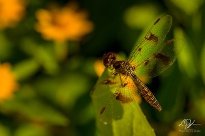 08062023001-WEB.jpg