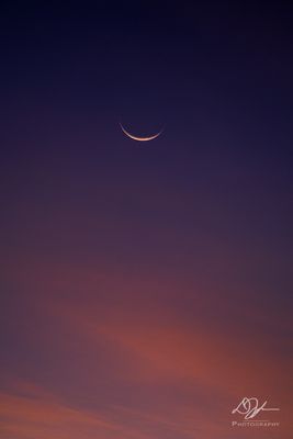 08132023001-WEB.jpg
