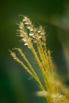 08142023002-WEB.jpg