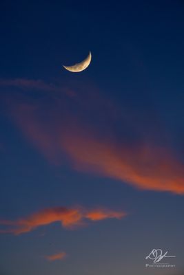 08212023001-WEB.jpg