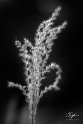 08262023001-WEB.jpg
