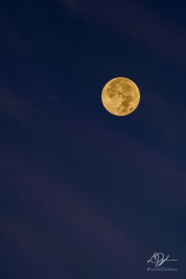 08312023001-WEB.jpg