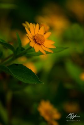 09012023001-WEB.jpg