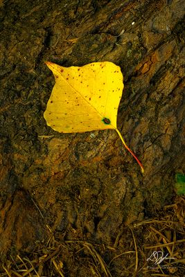 09032023001-WEB.jpg