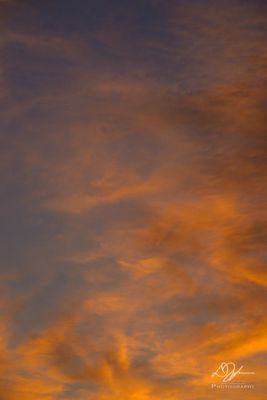 09092023001-WEB.jpg