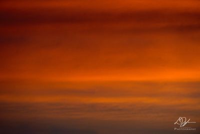 09212023001-WEB.jpg