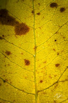09282023001-WEB.jpg