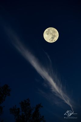 09292023001-WEB.jpg
