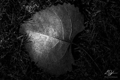 11032023001-WEB.jpg