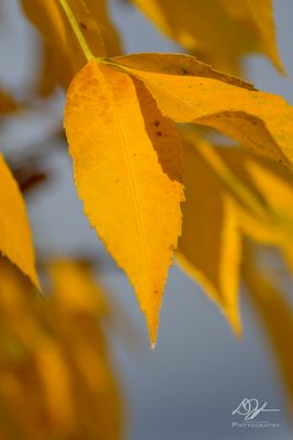 11092023001-WEB.jpg