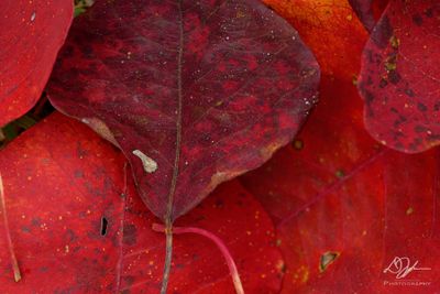 11142023001-WEB.jpg