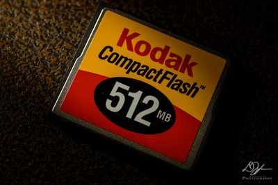 11152023001-WEB.jpg