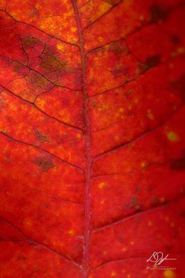 11162023001-WEB.jpg