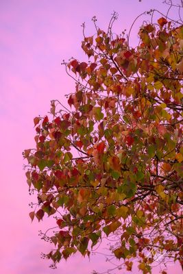 11232023001-WEB.jpg