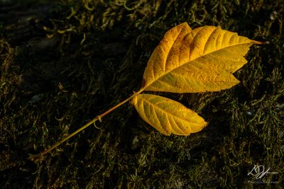 12092023001-WEB.jpg