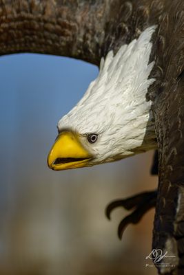 12202023001-WEB.jpg