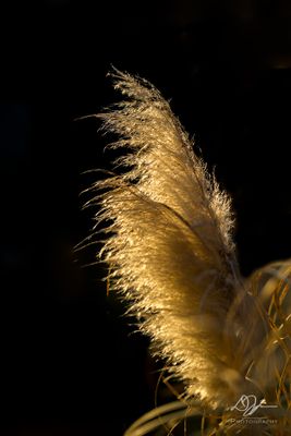 02202024001-WEB.jpg