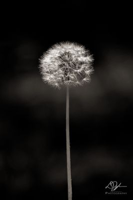 04062024001-WEB.jpg