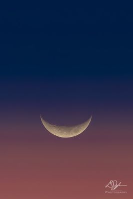 04122024002-WEB.jpg