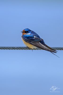 04282024003-WEB.jpg