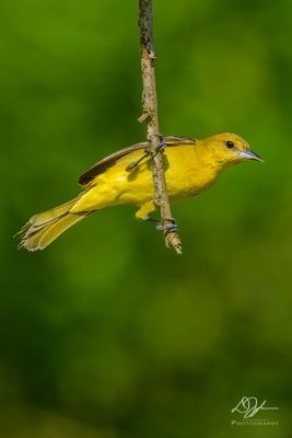 05042024005-WEB.jpg