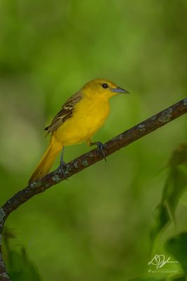 05042024008-WEB.jpg
