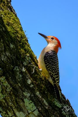 05112024002-WEB.jpg