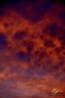 05162024004-WEB.jpg