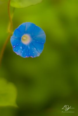 05312024001-WEB.jpg