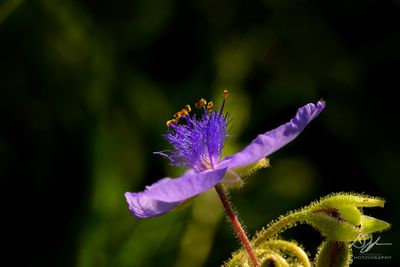 06122024001-WEB.jpg